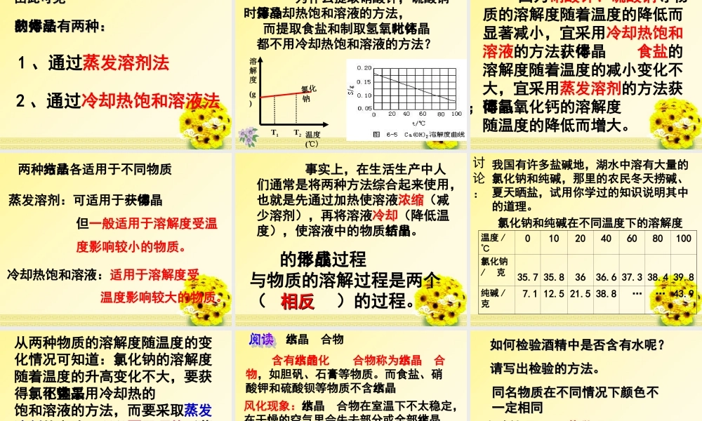 八年级科学上册 第8节物质在水中的结晶课件 浙教版 课件