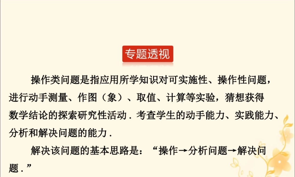 中考数学二轮复习 专题5 动手操作问题课件