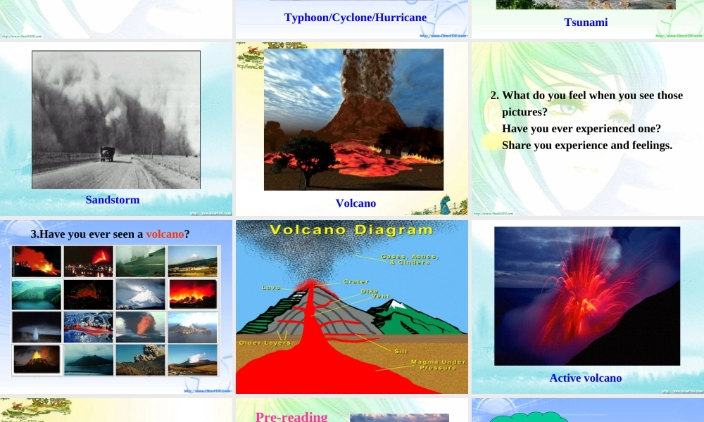 广东地区高二英语Module6 Unit5 Warming up课件 人教实验版 课件