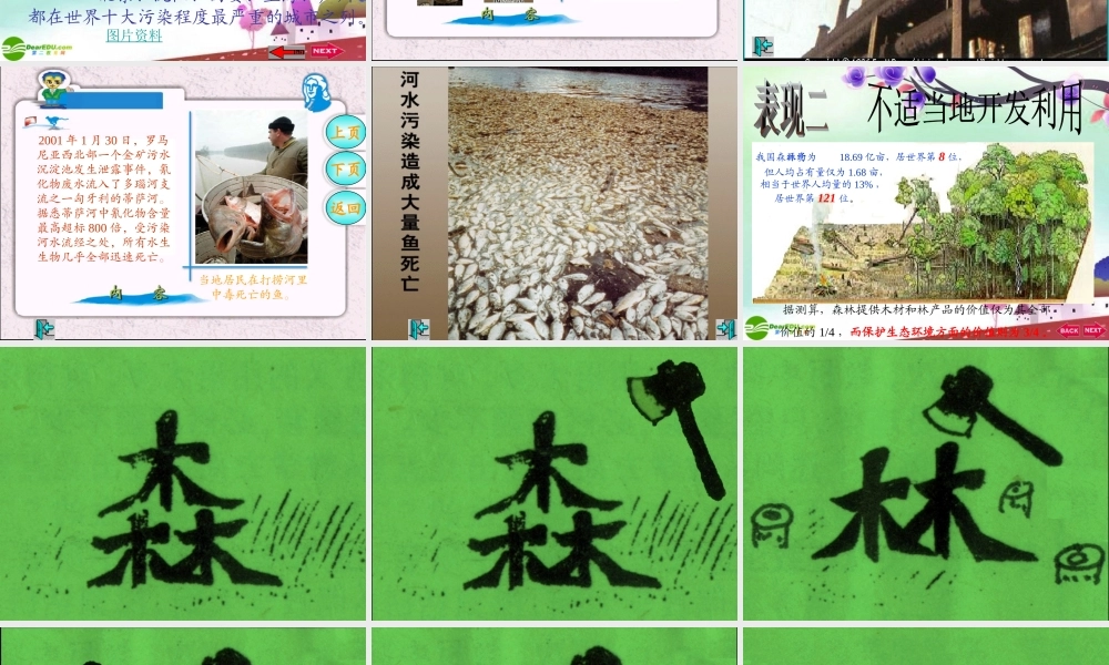 七年级生物下册 保护我们的家园课件 济南版 课件