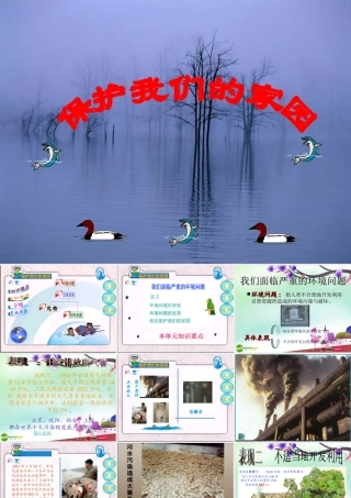 七年级生物下册 保护我们的家园课件 济南版 课件