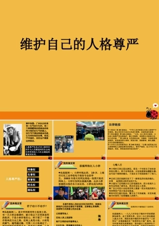 八年级政治下册 维护自己的人格尊严课件 湘教版 课件