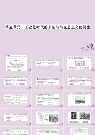中考历史复习 第一篇 教材系统复习 第4板块 世界历史 第5单元 工业化时代的来临与马克思主义的诞生(习题)课件