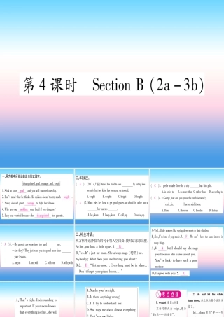 九年级英语全册 Unit 11 Sad movies make me cry(第4课时)Section B(2a 3b)课堂导练课件(含中考真题)(新版)人教新目标版 课件