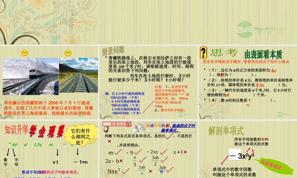 山东省东营市七年级数学(单项式)课件  人教新课标版 课件