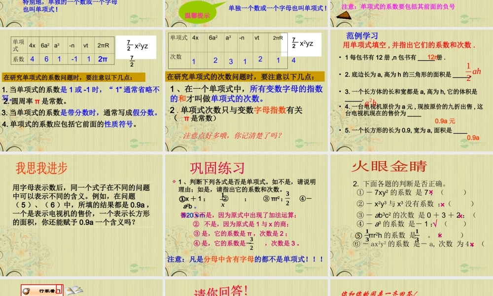 山东省东营市七年级数学(单项式)课件  人教新课标版 课件