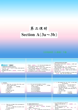 九年级英语全册 Unit 13 We re trying to save the earth(第2课时)习题课件 (新版)人教新目标版 课件