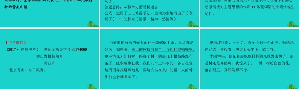 八年级语文下册 第五单元 17壶口瀑布习题课件 新人教版 课件