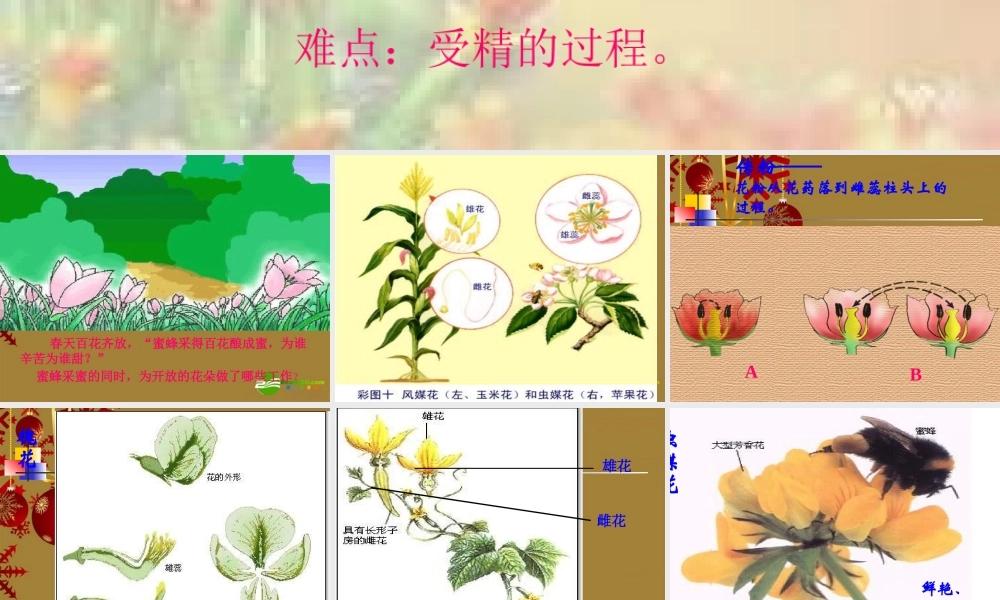 七年级生物上册 传粉与受精课件 人教版 课件