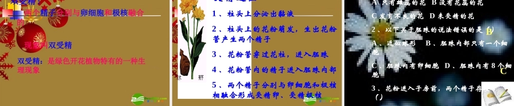 七年级生物上册 传粉与受精课件 人教版 课件