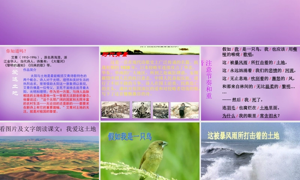 九年级语文下册 11 我爱这土地课件 新人教版 课件