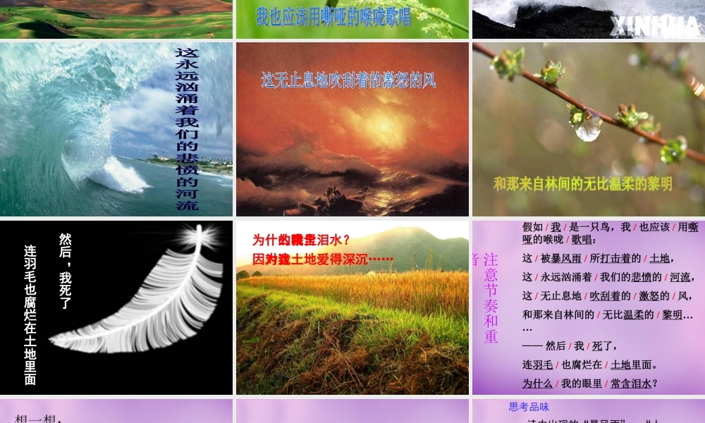 九年级语文下册 11 我爱这土地课件 新人教版 课件