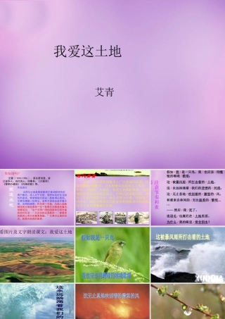 九年级语文下册 11 我爱这土地课件 新人教版 课件