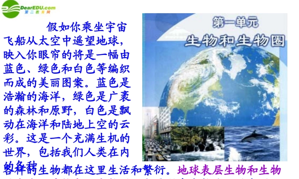 七年级生物上册 第一节 生物的特征课件 人教新课标版 课件