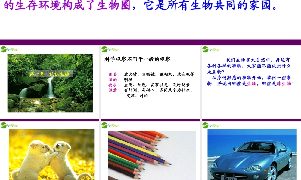 七年级生物上册 第一节 生物的特征课件 人教新课标版 课件