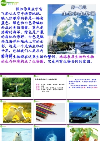 七年级生物上册 第一节 生物的特征课件 人教新课标版 课件