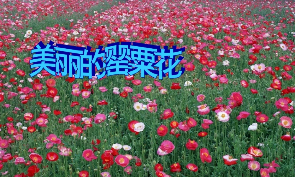 八年级历史上册 第1课 鸦片战争的烽烟课件 北师大版 课件