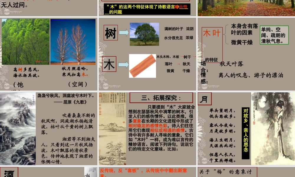 天津市高一语文(说木叶)课件