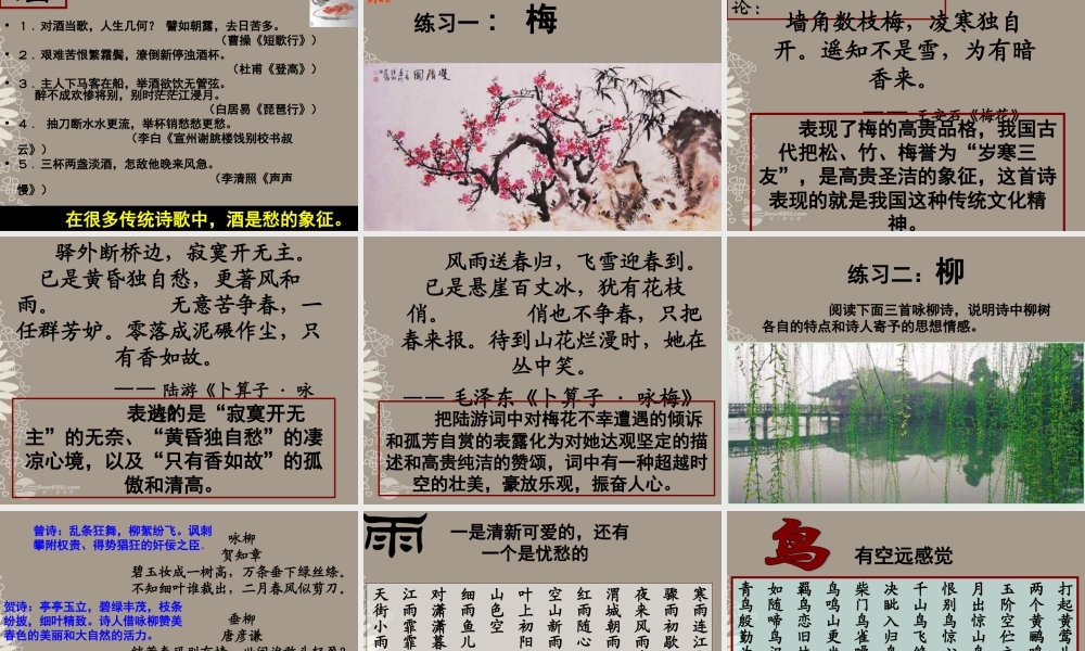 天津市高一语文(说木叶)课件