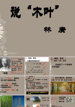 天津市高一语文(说木叶)课件