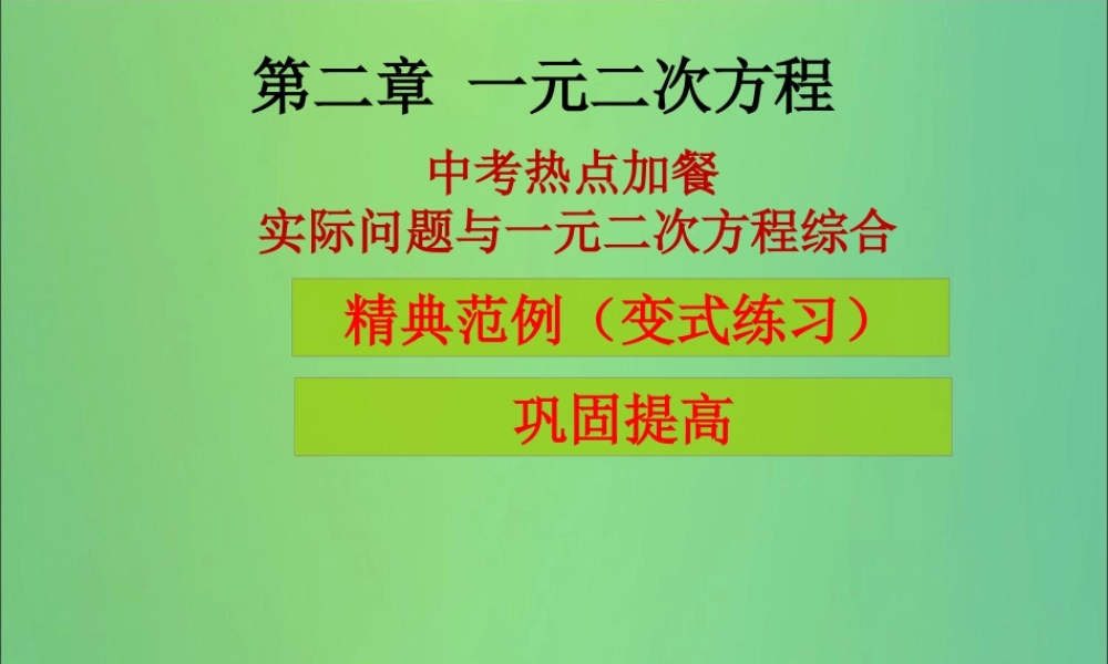 九年级数学上册 第2章 一元二次方程 中考热点加餐 实际问题与一元二次方程综合(课堂导练)习题课件 (新版)北师大版 课件
