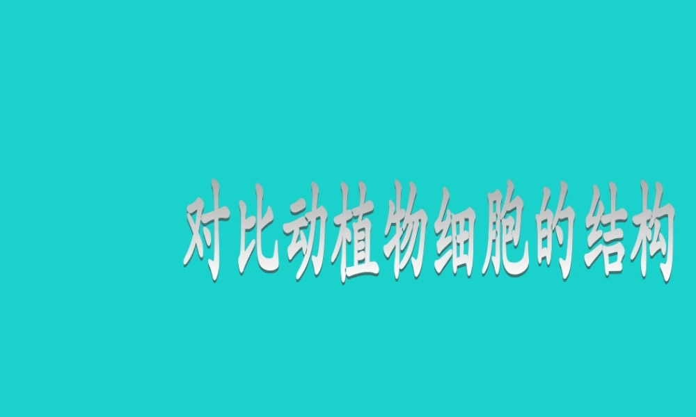 七年级生物上册 第三章 第一节 细胞 对比动植物细胞的结构课件 (新版)北京版 课件