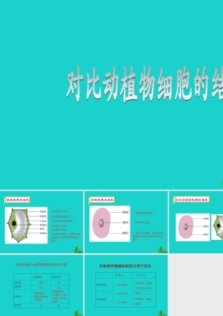 七年级生物上册 第三章 第一节 细胞 对比动植物细胞的结构课件 (新版)北京版 课件
