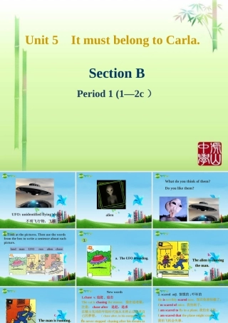 九年级英语 Unit 5 Section B课件 人教新目标版 课件