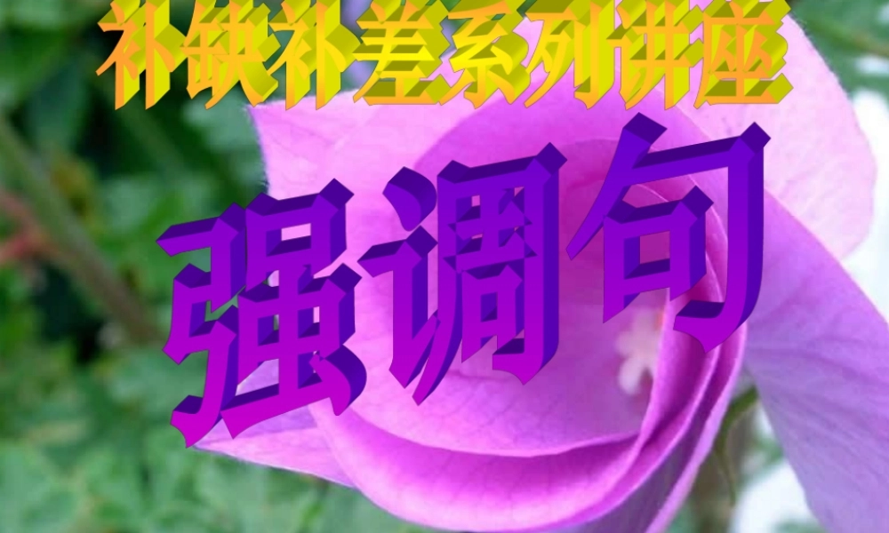 强调句 高考英语语法复习16个课件 人教版 高考英语语法复习16个课件 人教版