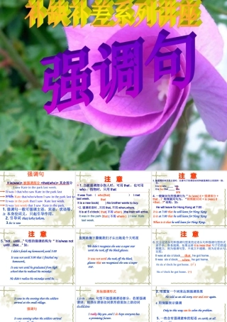 强调句 高考英语语法复习16个课件 人教版 高考英语语法复习16个课件 人教版