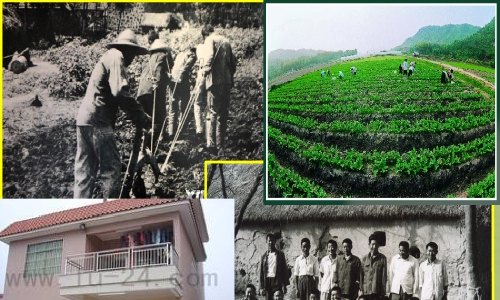 八年级历史下册 第8课 改革开放的展开课件 中华书局版 课件