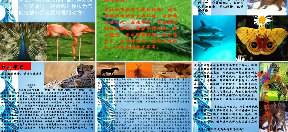 八年级语文上册 (精灵)讲课课件 人教新课标版 课件