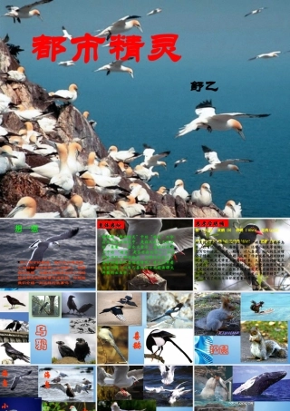 八年级语文上册 (精灵)讲课课件 人教新课标版 课件