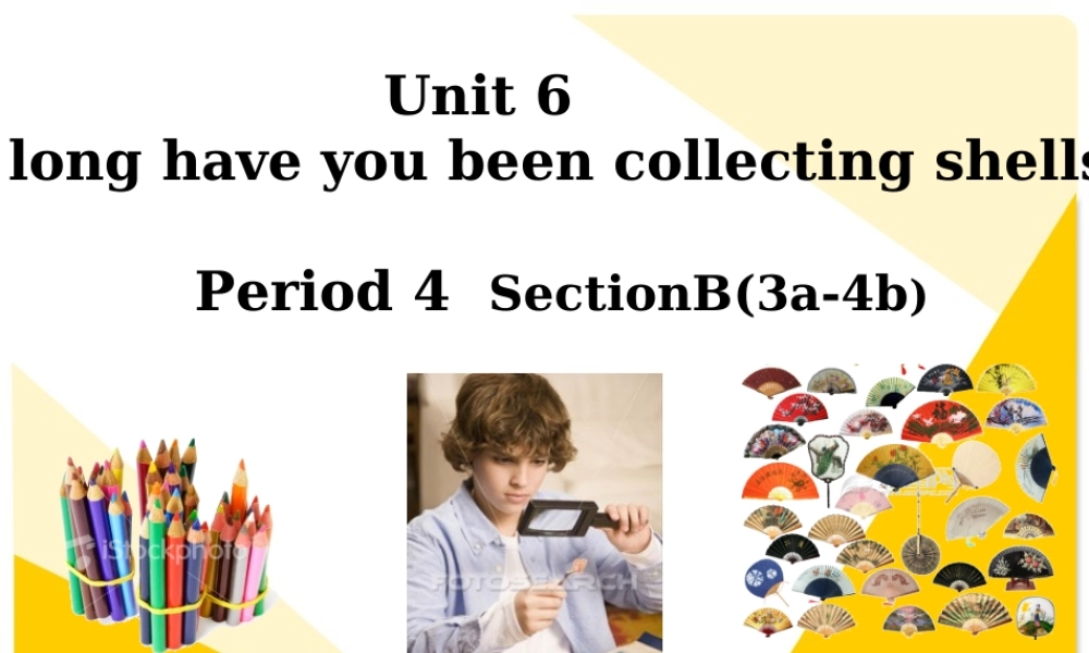 八年级英语下册 Unit 6 How long have you been collecting shells Section B课件 人教新目标版 课件