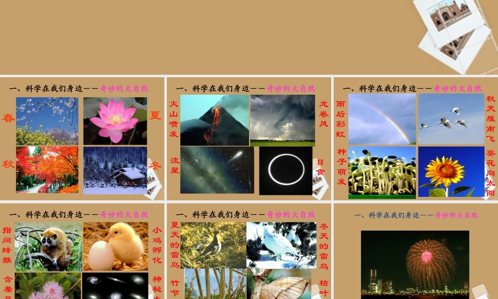 中学七年级科学上册 第1节 科学并不神秘课件 浙教版 课件