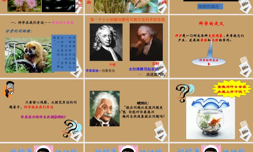 中学七年级科学上册 第1节 科学并不神秘课件 浙教版 课件