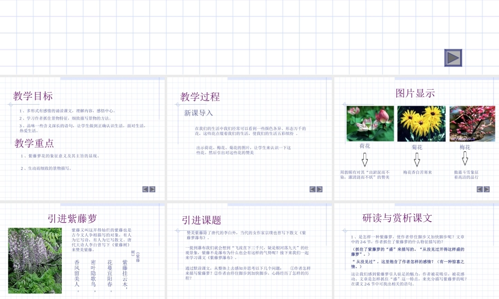 七年级语文紫藤萝瀑布课件 新课标 人教版 课件