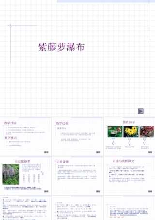 七年级语文紫藤萝瀑布课件 新课标 人教版 课件