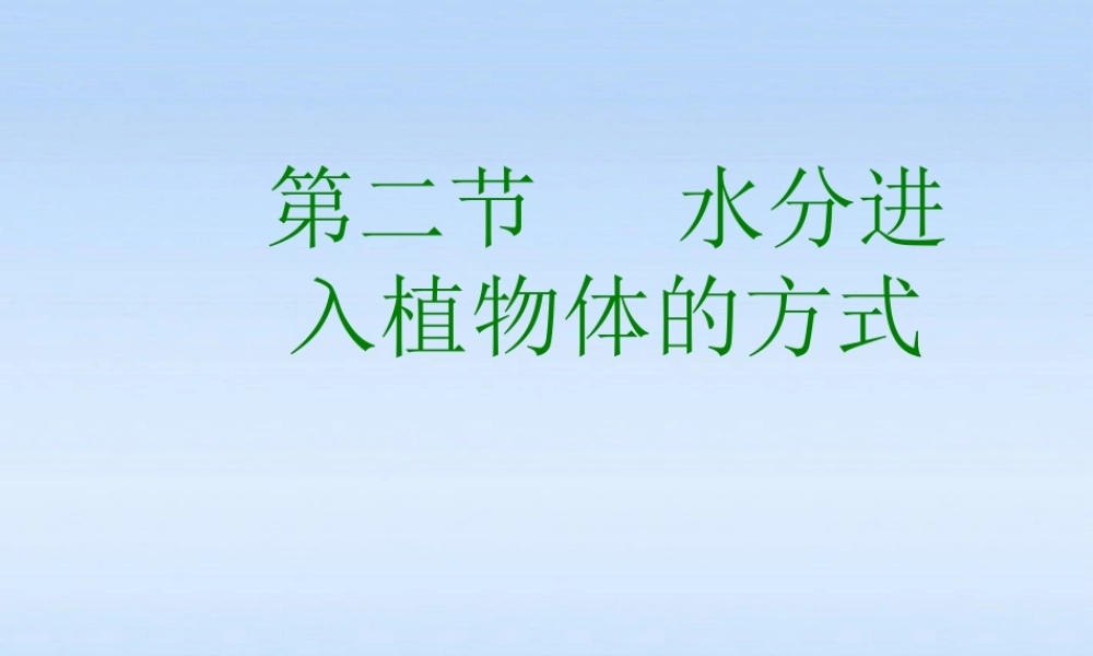 七年级生物上册 水分进入植物体的方式课件 人教新课标版 课件