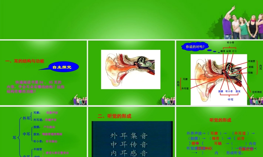 七年级生物下册 耳与听觉课堂教学课件 北师大版 课件