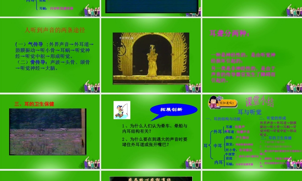 七年级生物下册 耳与听觉课堂教学课件 北师大版 课件