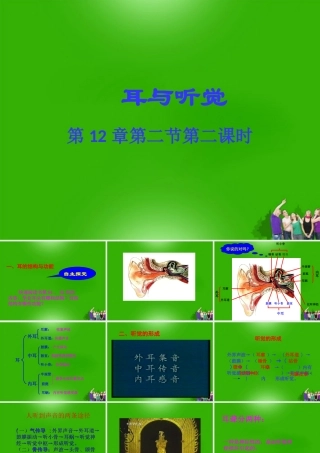 七年级生物下册 耳与听觉课堂教学课件 北师大版 课件