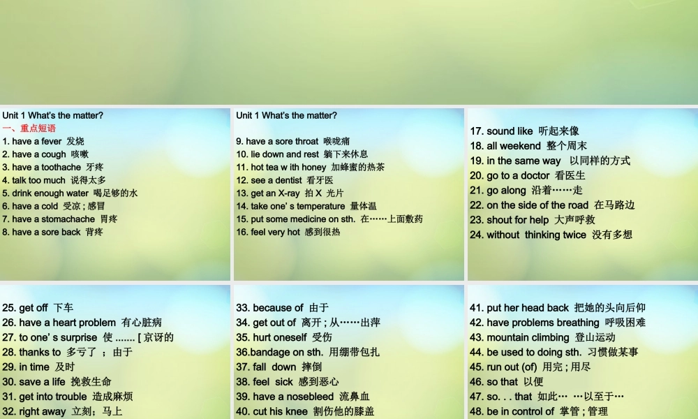 八年级英语下册 Unit 1 What's the matter词组课件 (新版)人教新目标版 课件