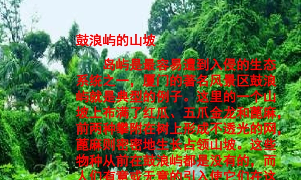八年级语文生物入侵者课件4 新课标 人教版 课件