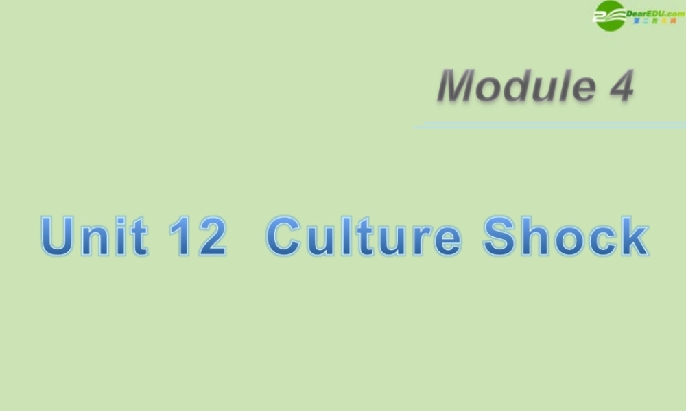 广东省高三英语第一轮总复习 Module4 Unit12 Culture Shock(2)课件 北师大版 新课标 课件
