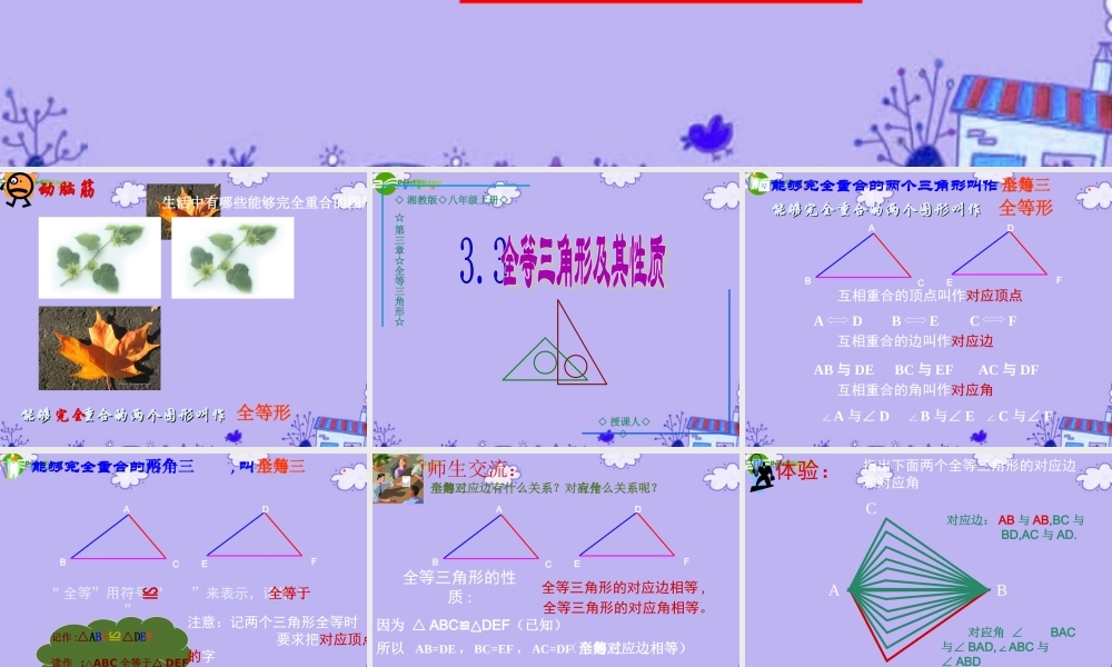 八年级数学上册 3.3 全等三角形及其性质课件 湘教版 课件