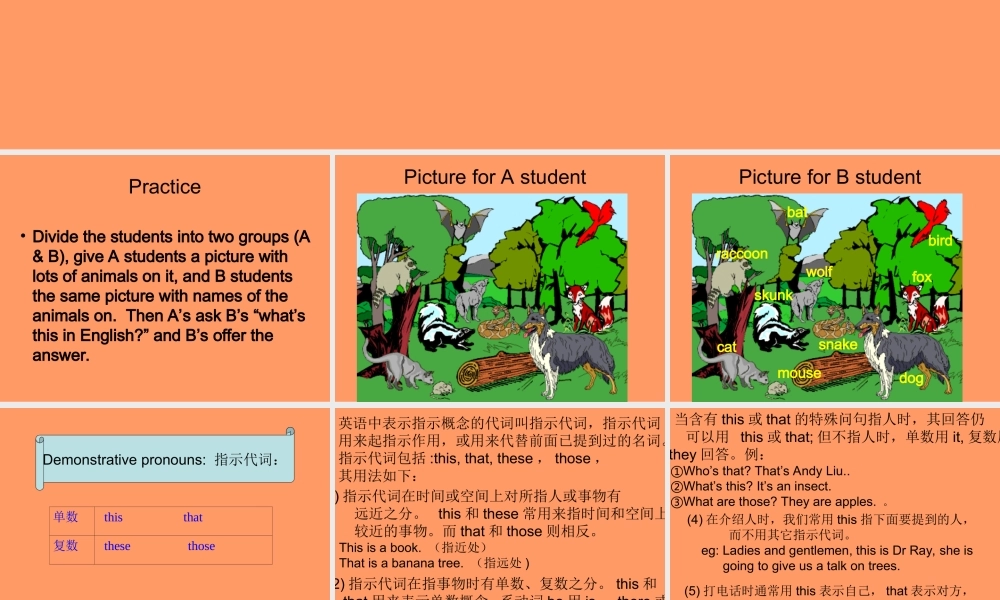 七年级英语上：Unit 5 Encyclopaedias More practice课件上海牛津版 课件