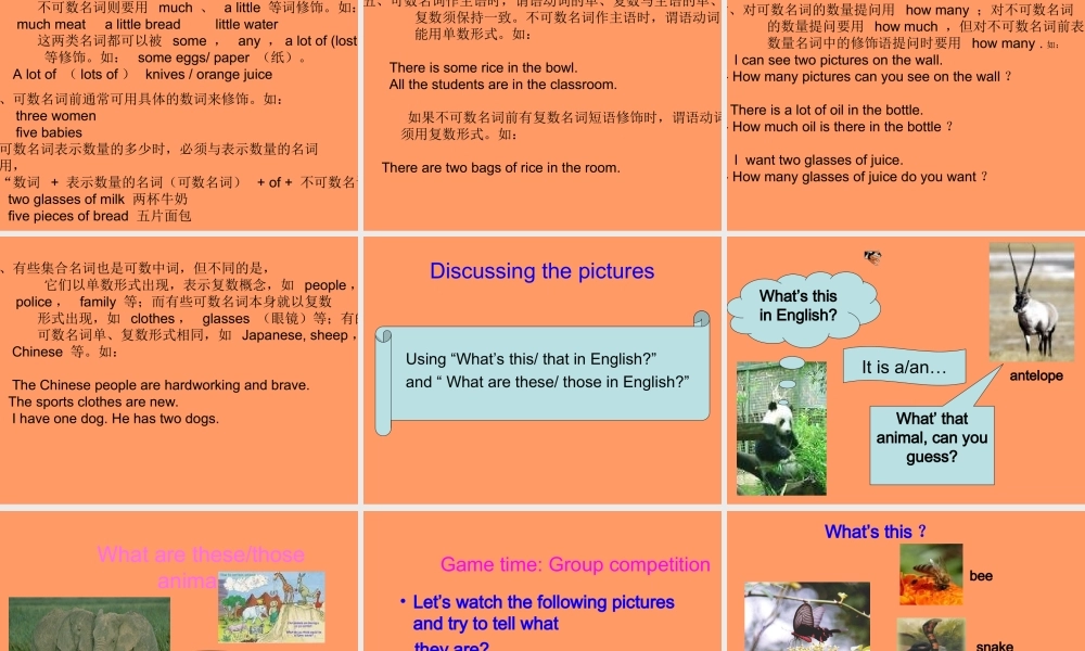 七年级英语上：Unit 5 Encyclopaedias More practice课件上海牛津版 课件