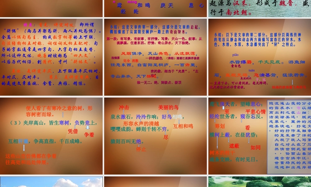 八年级语文下册(与朱元思书)课件 新人教版 课件