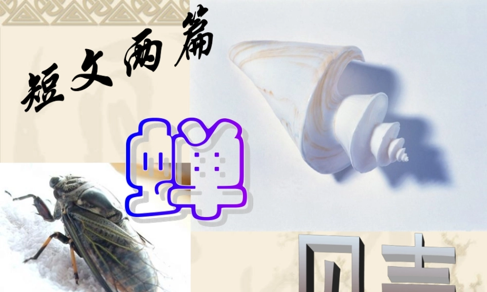 八年级语文(短文两篇)(蝉，贝壳) 课件